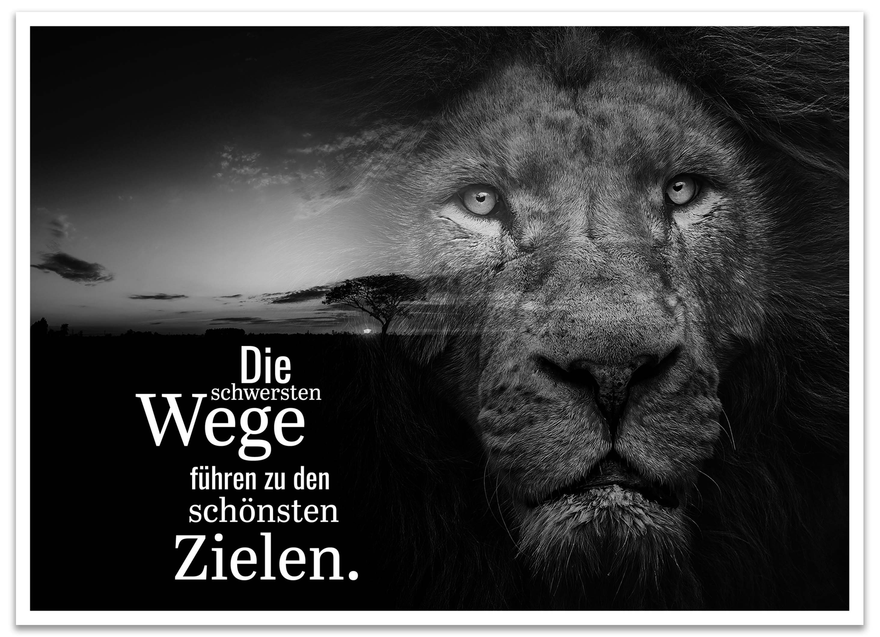 wandmotiv24 Poster Motivation, Spruch, Löwe, Sprüche (1 St), Wandbild