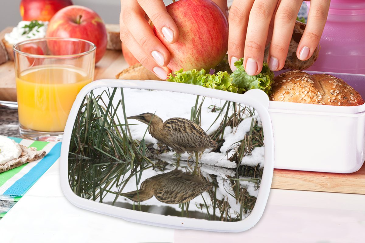 der Kunststoff, Lunchbox Brotbox und weiß auf Mädchen Rohrdommel und Jungs Kinder Jagd Brotdose, Erwachsene, MuchoWow (2-tlg), Wasser, für im für