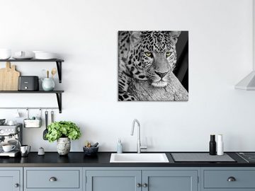 Pixxprint Glasbild ruhender Leopard, ruhender Leopard (1 St), Glasbild aus Echtglas, inkl. Aufhängungen und Abstandshalter