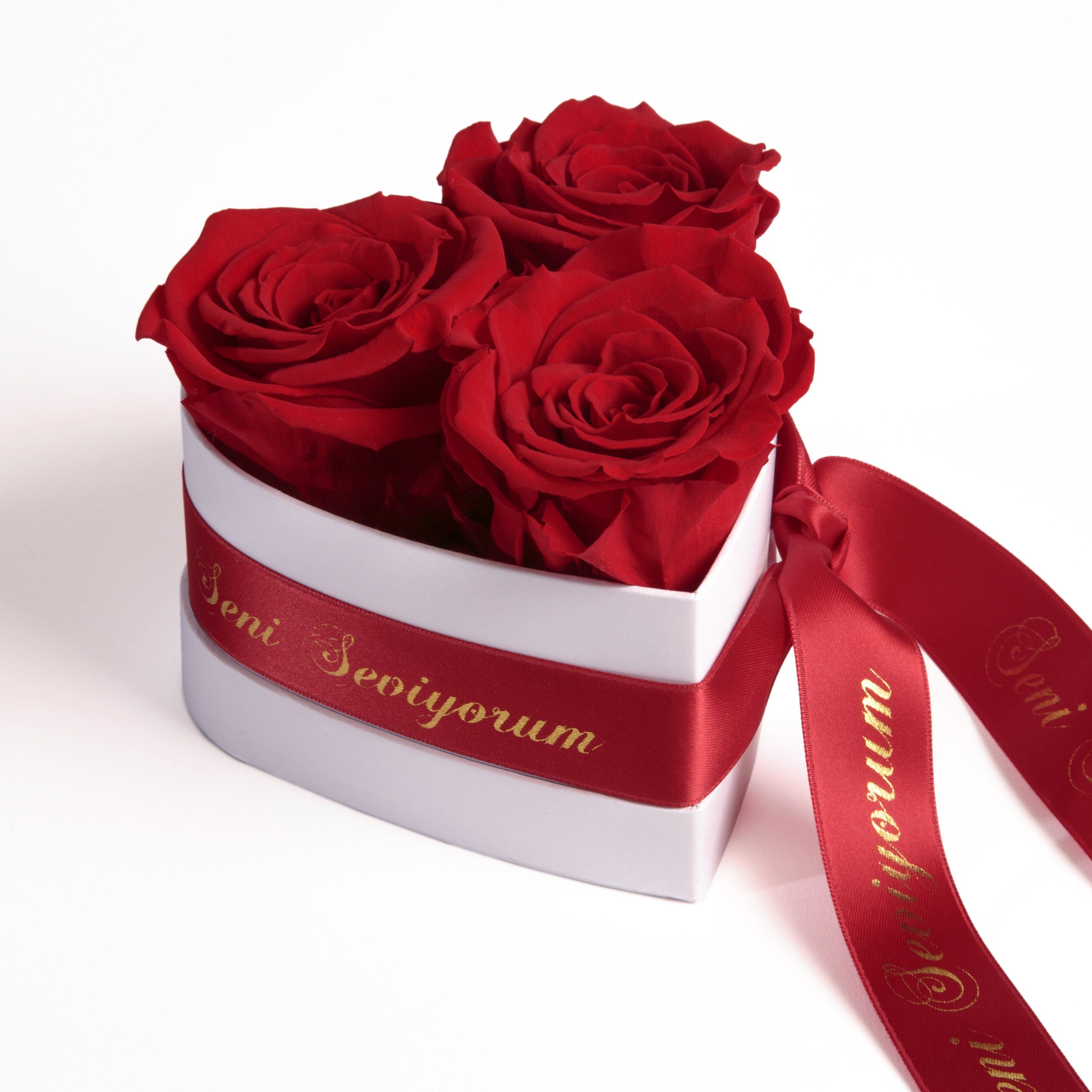 Kunstblume Seni Seviyorum Infinity Rosenbox Herz 3 echte Rosen konserviert Rose, ROSEMARIE SCHULZ Heidelberg, Höhe 10 cm, echte Rosen lang haltbar Rot