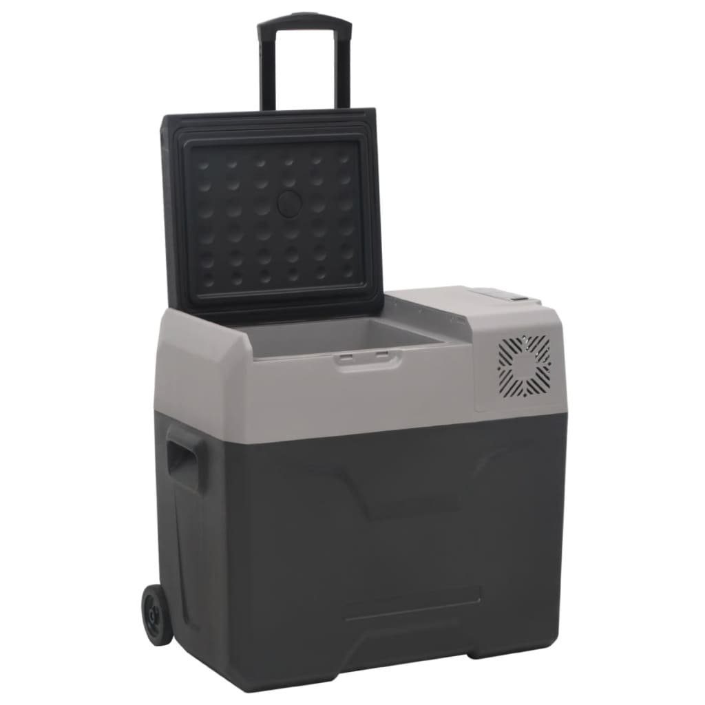 Kühlbox 50 V Camping Grau Kompressor vidaXL Adapter L mit und Kühlbox Schwarz Rollen