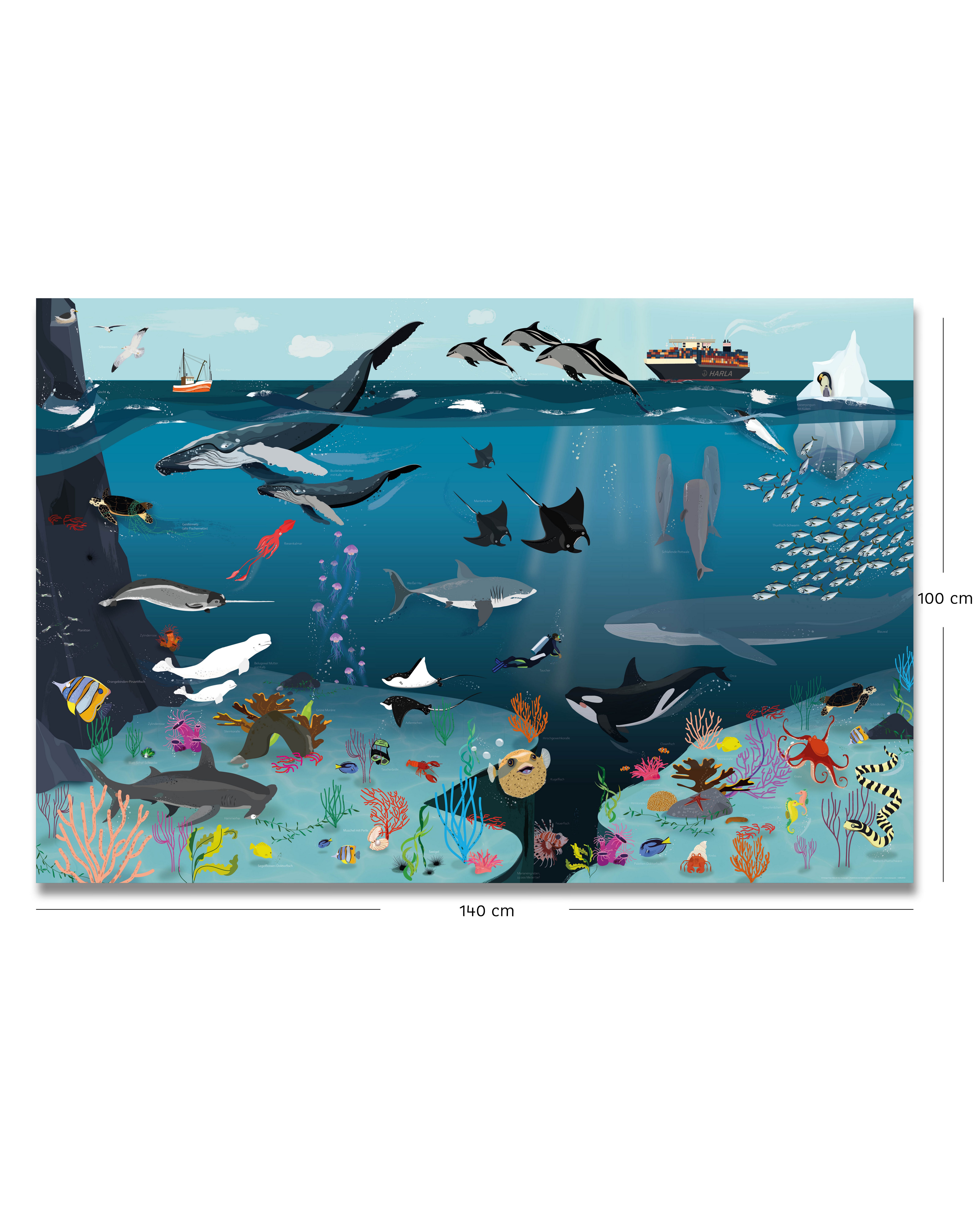 Close Up Poster Unterwasserwelt für Kinder günstig online kaufen