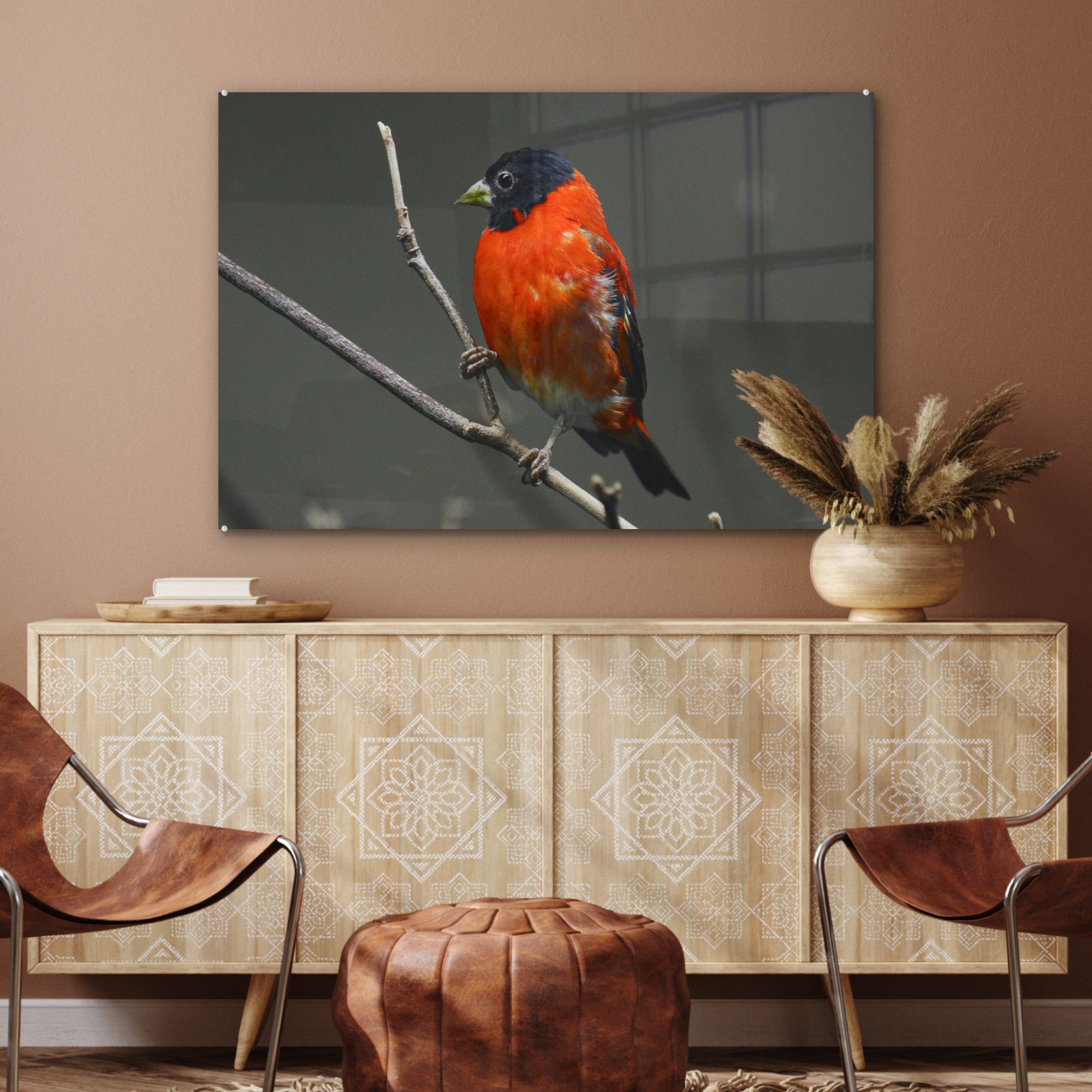 - Rot - MuchoWow (1 St), & Acrylglasbilder Vogel Zweig, Acrylglasbild Wohnzimmer Schlafzimmer