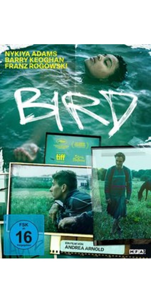 Alive DVD Bird, (1-St)