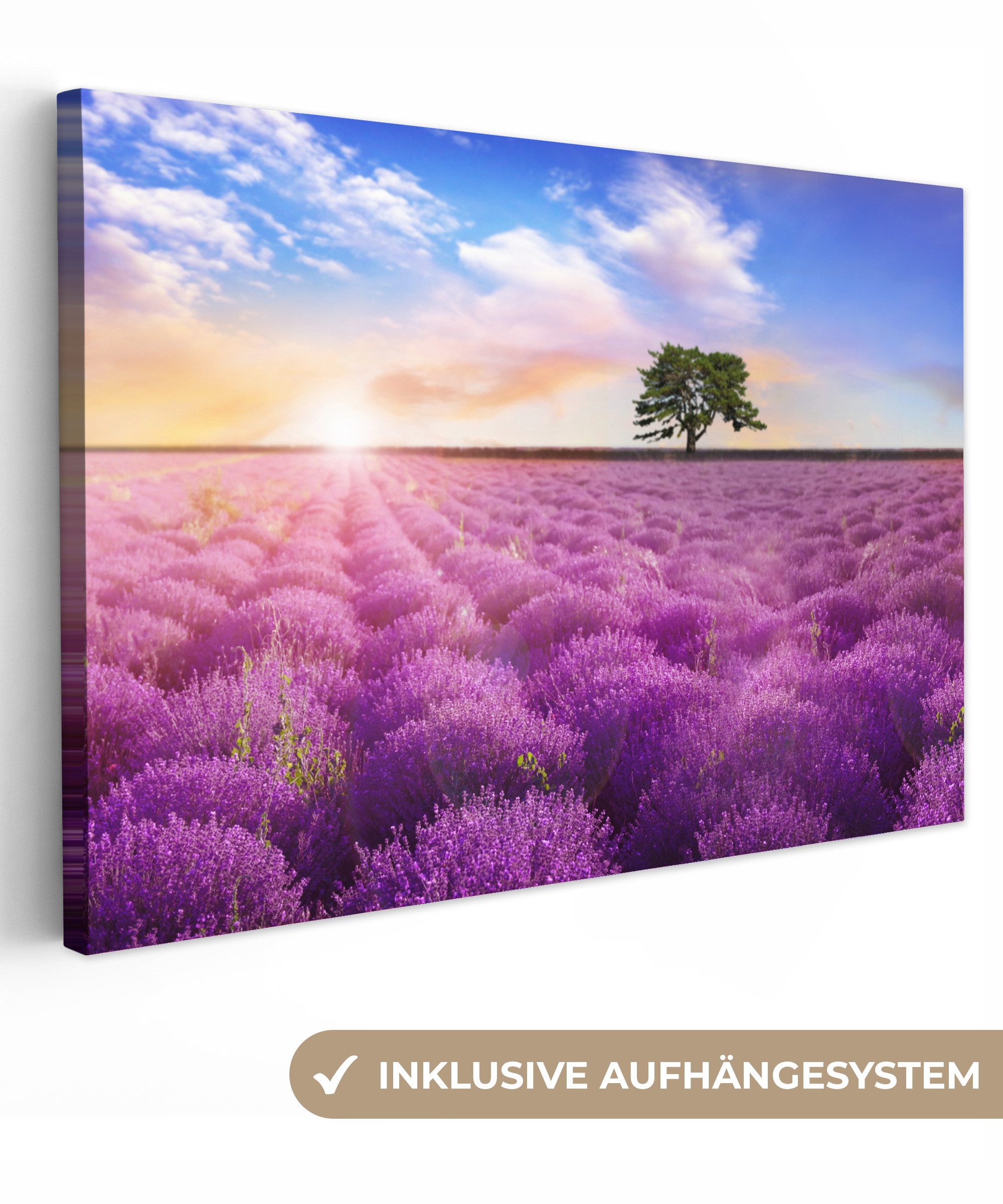 OneMillionCanvasses® Leinwandbild Lavendel - Baum - günstig online kaufen