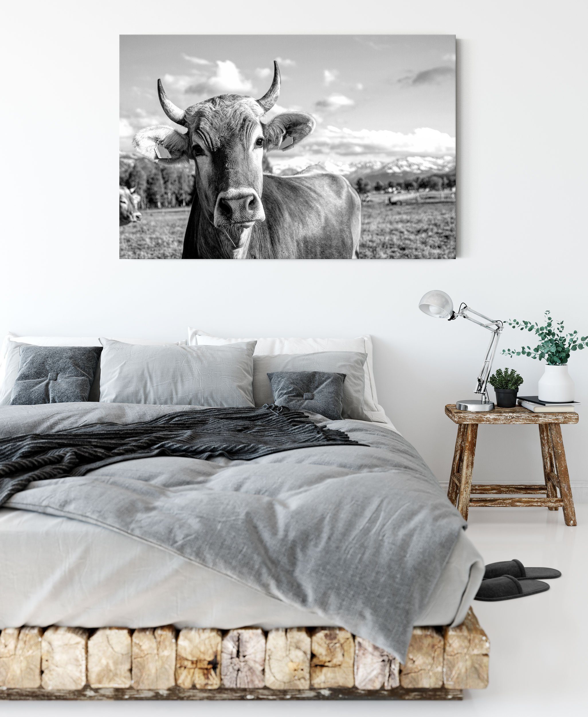 Pixxprint Leinwandbild Neugierige Kuh auf Weide im Allgäu, Monochrome, Neugierige Kuh auf Weide im Allgäu, Monochrome (1 St), Leinwandbild fertig bespannt, inkl. Zackenaufhänger