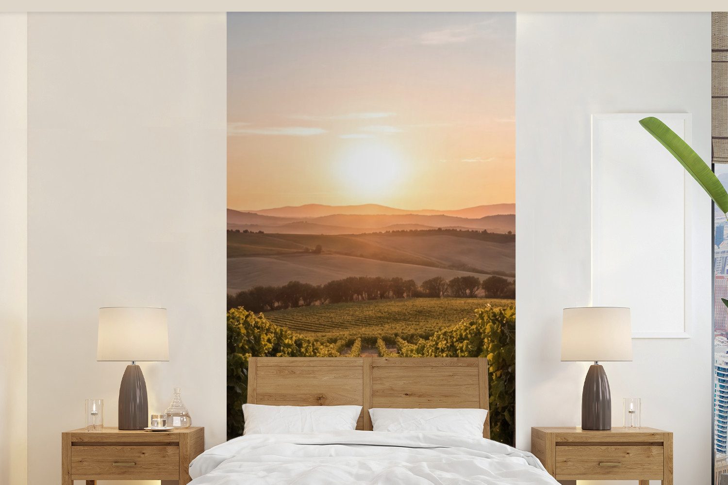 Fototapete Weinberg - Sonnenuntergang - Landschaft