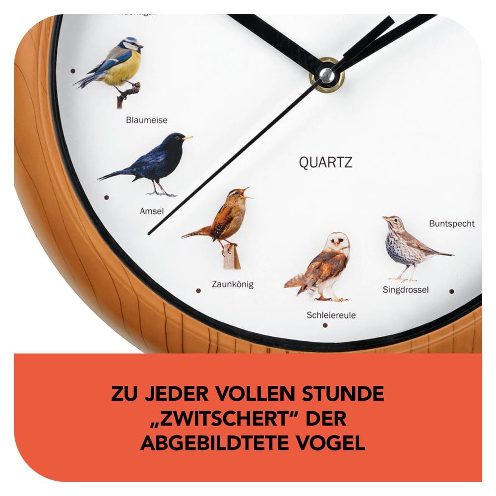 MAXXMEE Wanduhr unterschiedliche Vogelstimmen 25cm (leuchtet im Dunkeln & Abschaltfunktion in der Nacht)
