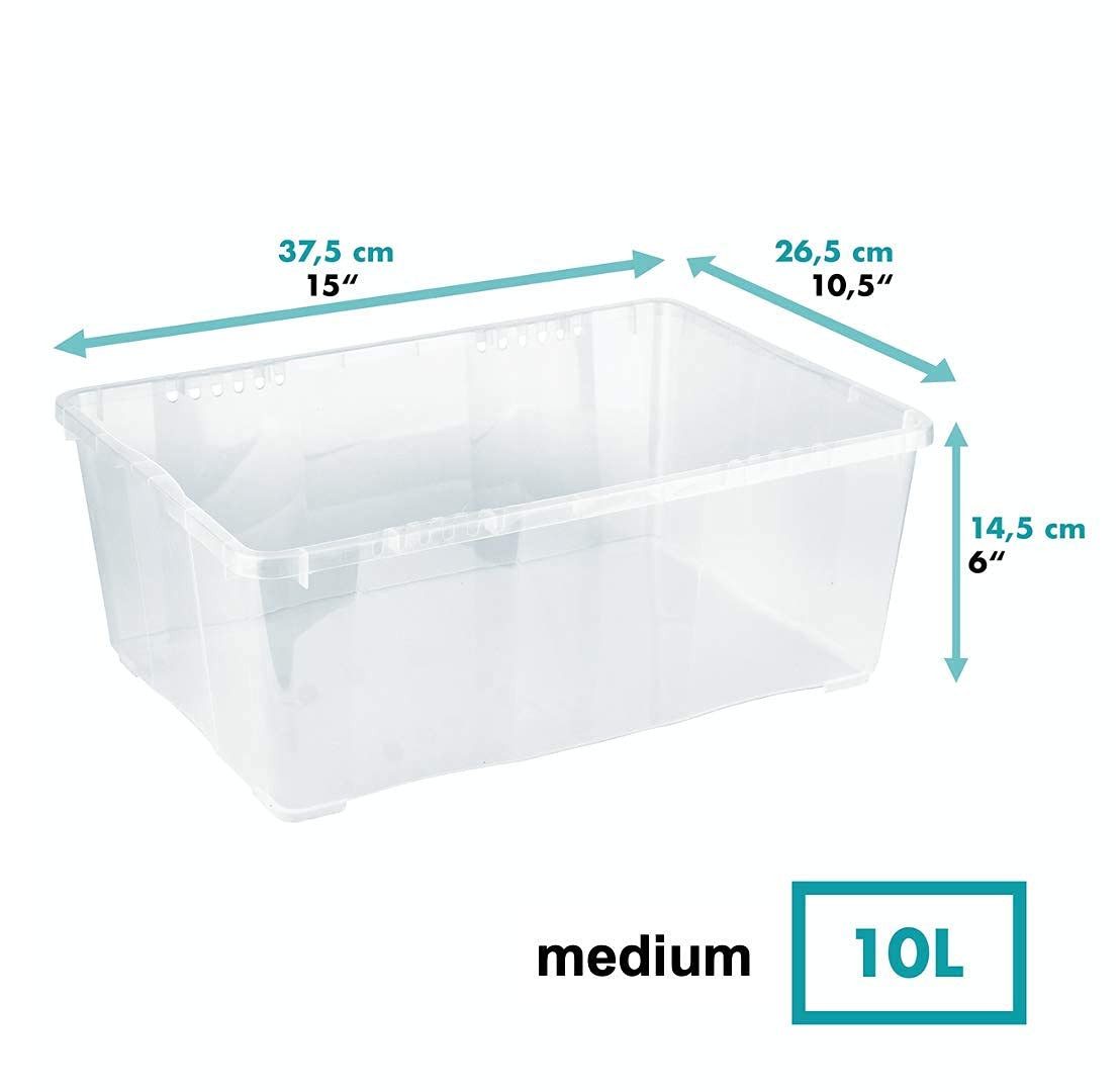 Grizzly Aufbewahrungsbox Klarsichtboxen mit Deckel, 3x günstig online kaufen