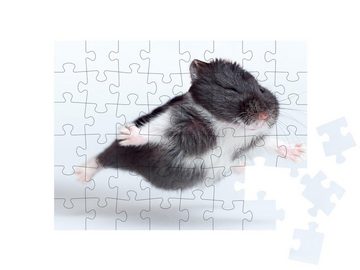 puzzleYOU Puzzle Lustiger fliegender Hamster, 48 Puzzleteile, puzzleYOU-Kollektionen Hamster, Bauernhof-Tiere, Insekten & Kleintiere