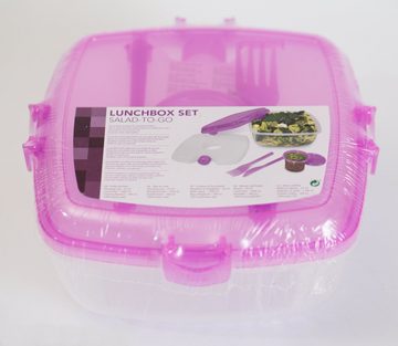 dynamic24 Lunchbox, Set 5tlg Salat to go Frischebox Frischhaltedosen Kühlakku Aufbewahrung