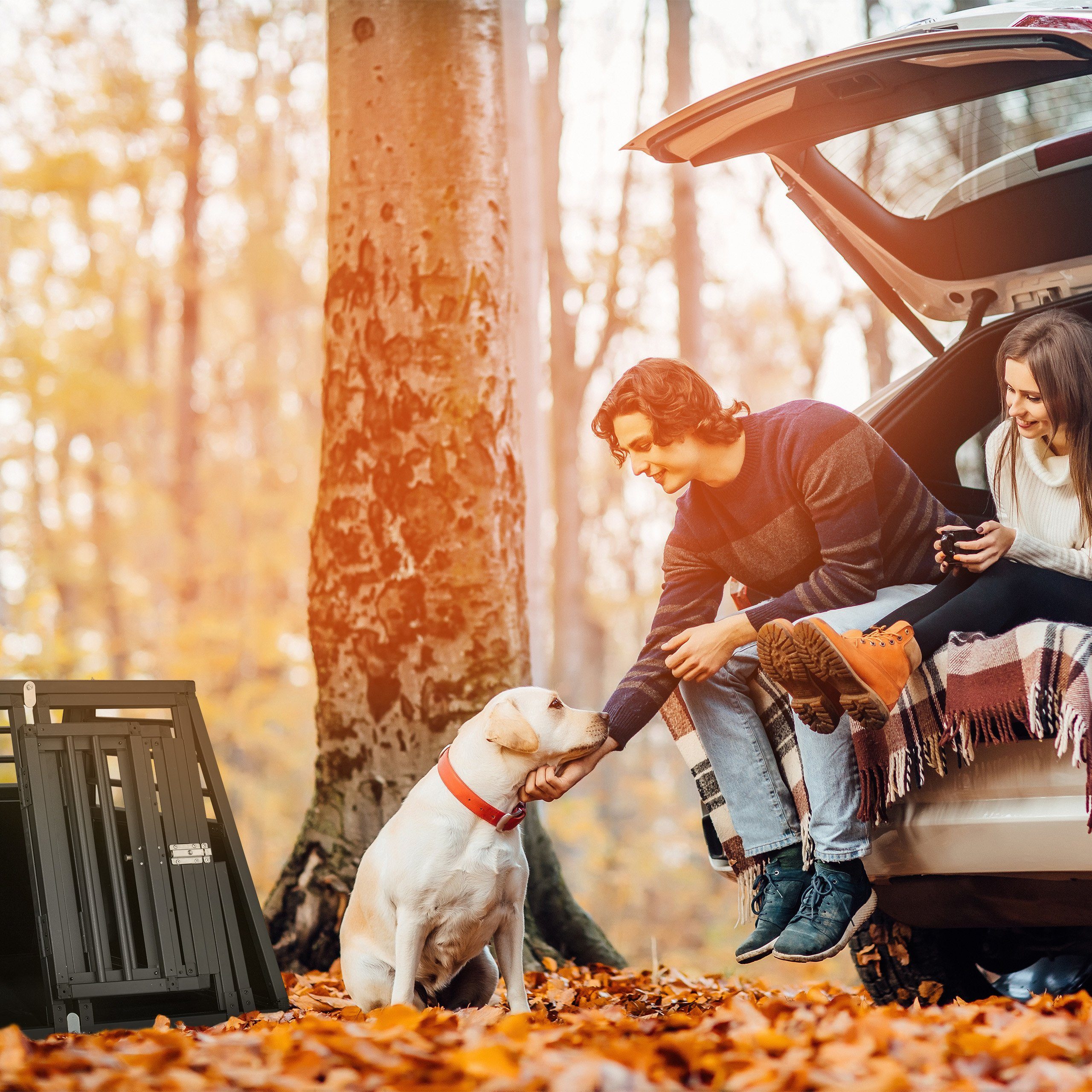 relaxdays Hunde-Transportbox Hundebox Auto mit Trennwand