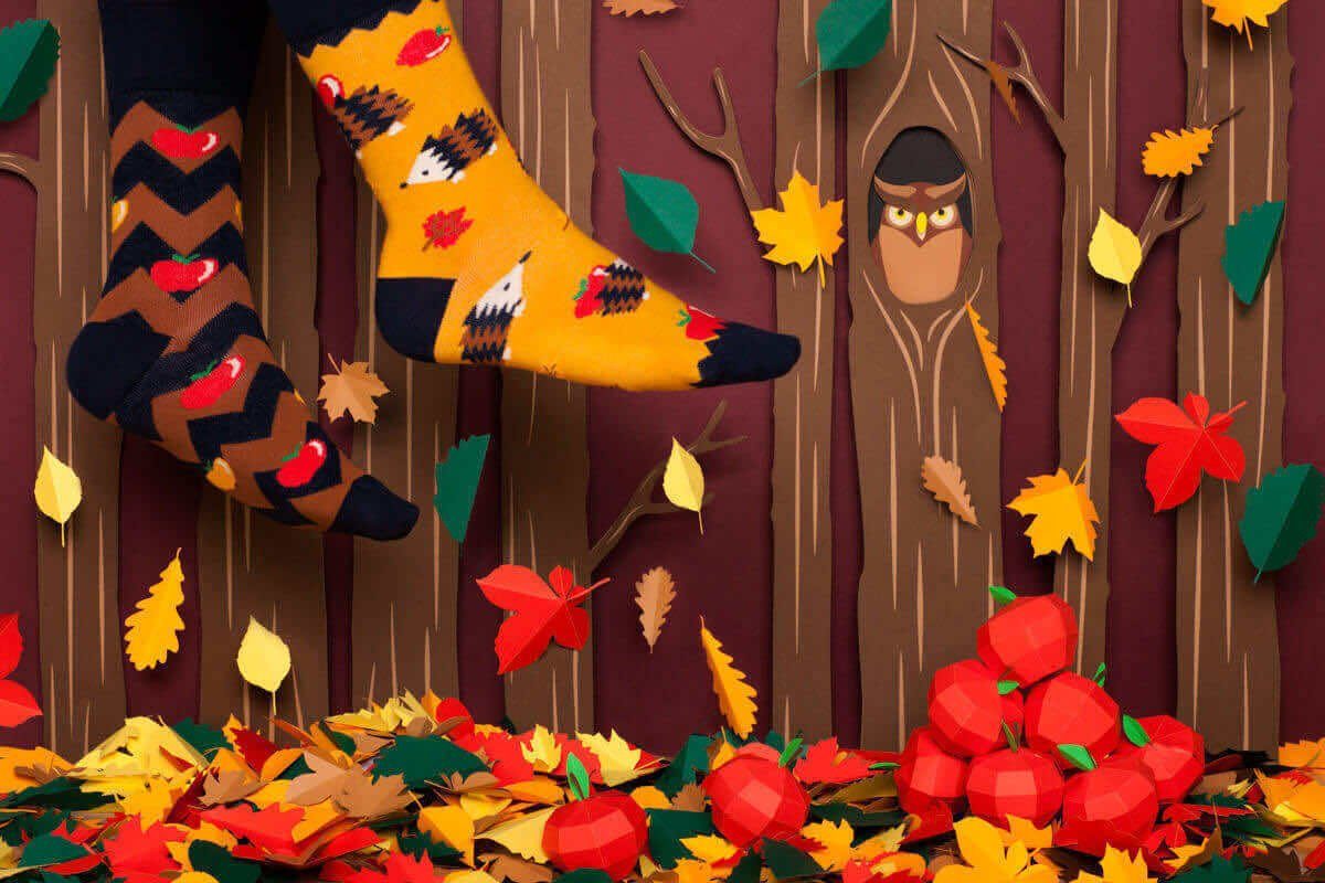 Many Mornings Freizeitsocken Many Mornings Apple Hedgehog (1 Paar, 1-Paar, günstig online kaufen