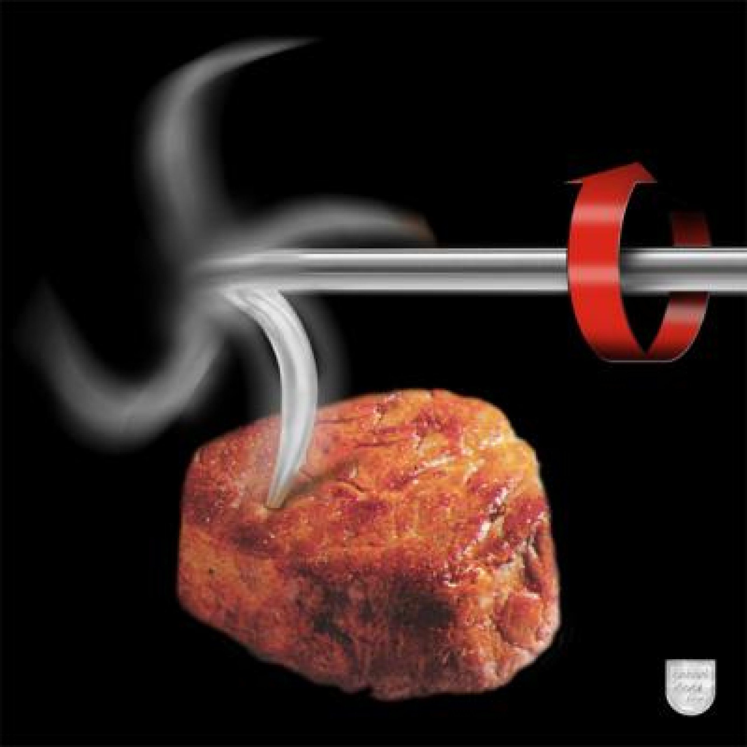 Schneider Grillgeräte GmbH & Co.KG Feuerstelle Schneider Wendeklaue aus Edelstahl für Rechtshänder mit Holzgrill