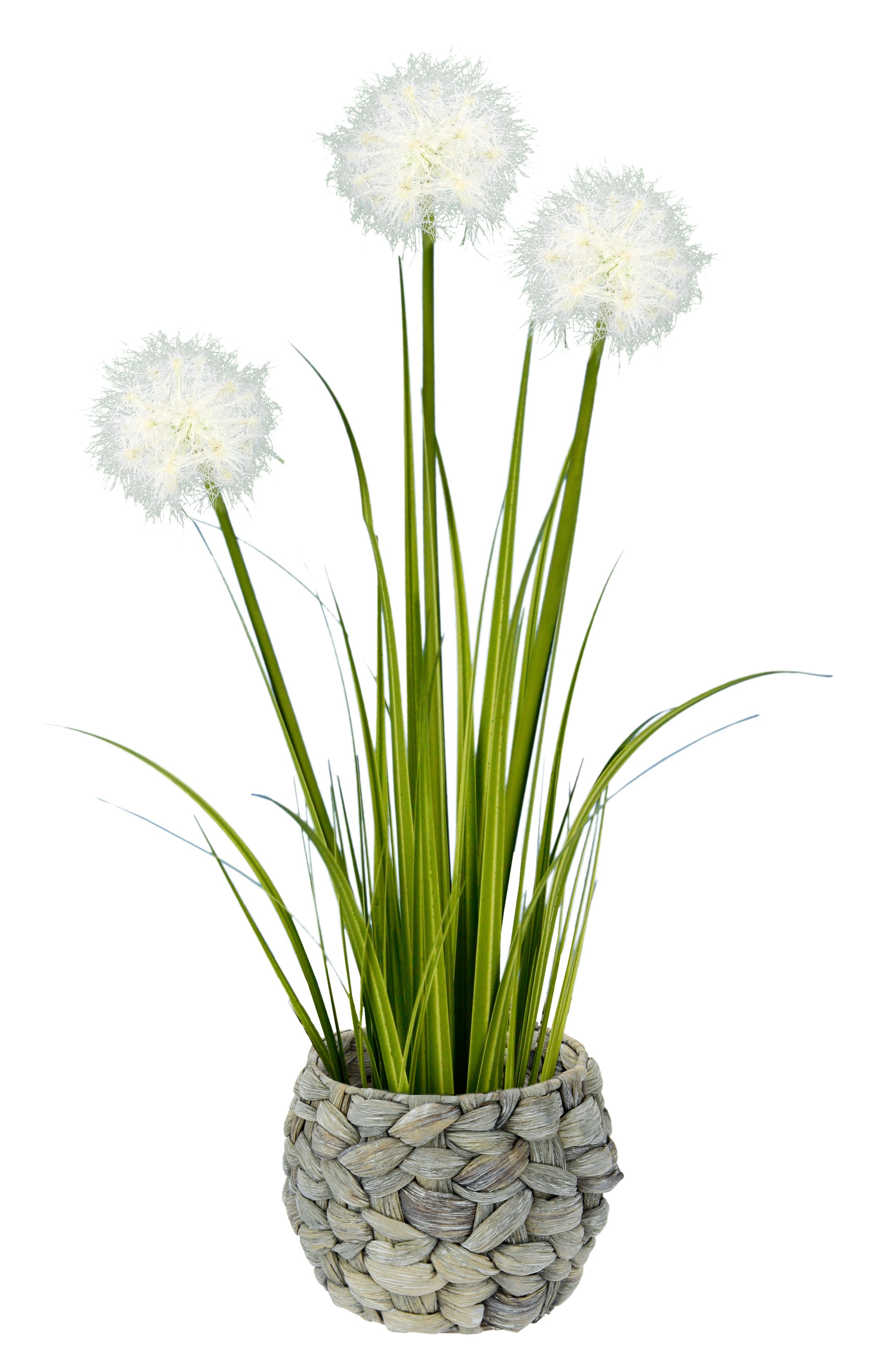 Kunstpflanze Pusteblumegras in Wasserhyazinthentopf Pusteblume, I.GE.A., Höhe 56 cm