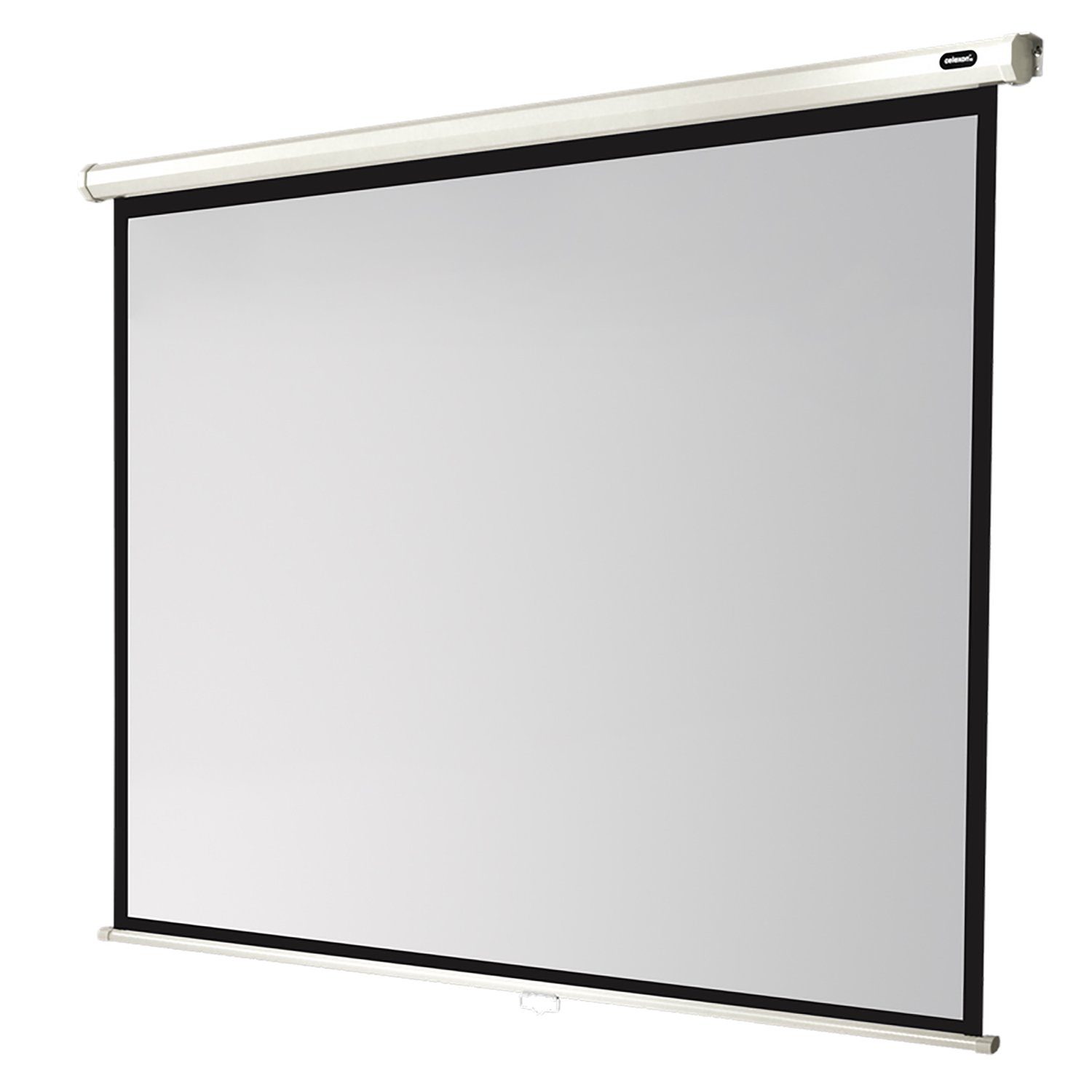 Celexon Economy Rolloleinwand (schwarze Rückseite)