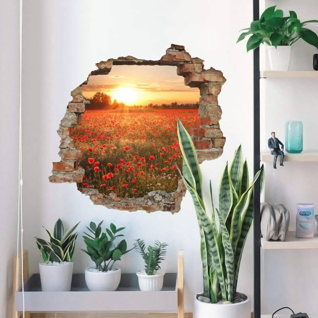 K&L Wall Art Wandtattoo 3D Wandtattoo Mohnfeld im Sonnenuntergang  Wandsticker Mohnblumen, Mauerdurchbruch Wandbild selbstklebend