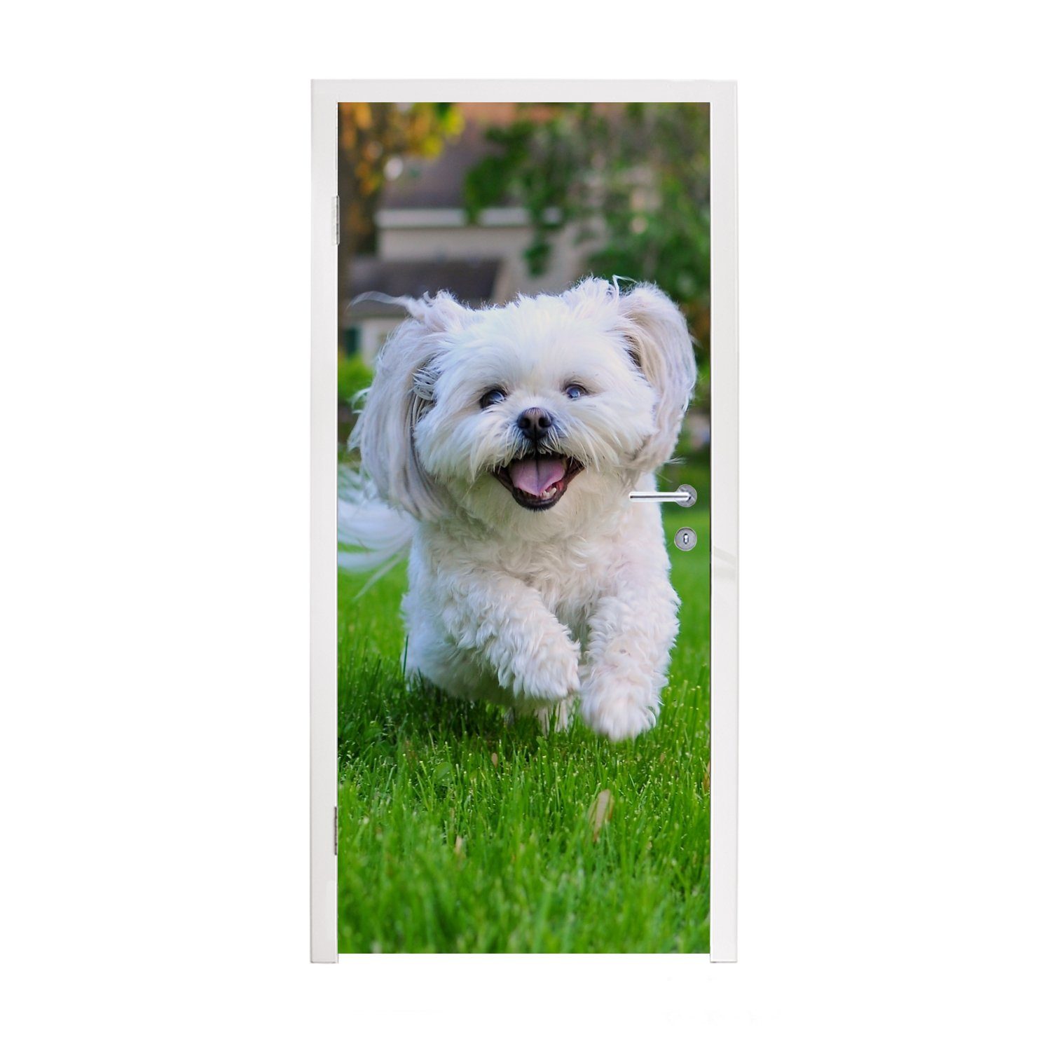 MuchoWow Türtapete Ein Shih Tzu Hund läuft durch das grüne Gras, Matt, bedruckt, (1 St), Fototapete für Tür, Türaufkleber, 75x205 cm | Türtapeten