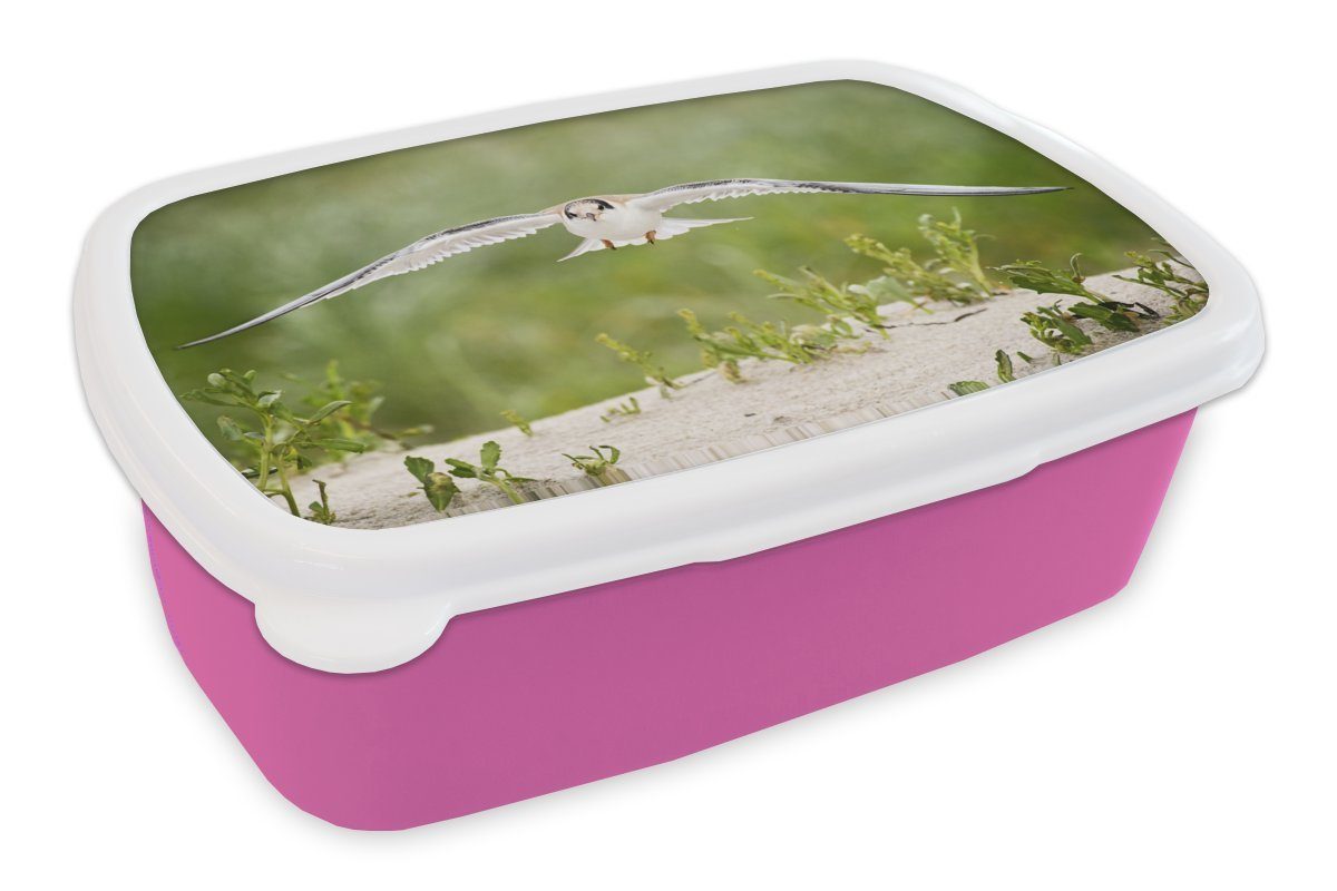 Dies ist eine Liste von MuchoWow Lunchbox Vogel Brotdose Kinder, Sand Mädchen, Brotbox Pflanzen, - Snackbox, (2-tlg), Kunststoff Kunststoff, - für rosa Erwachsene