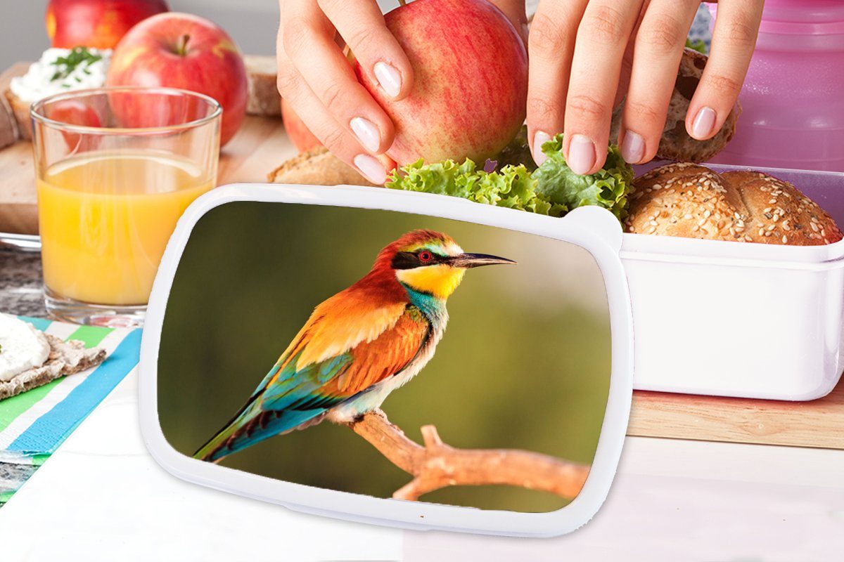 MuchoWow Lunchbox Vögel - und (2-tlg), weiß und Mädchen Kunststoff, Kinder - Regenbogen Brotbox Erwachsene, - Tiere, Brotdose, für Bienenfresser für Jungs