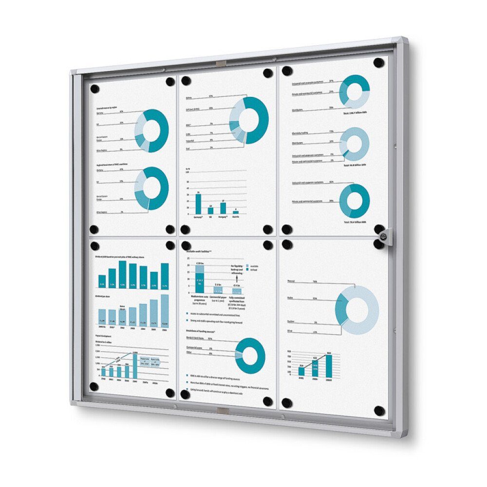 Showdown Displays Hängevitrine Economy SCXS - 6x DIN A4 - B1 geprüft - Aluminium - Silber (1-St)