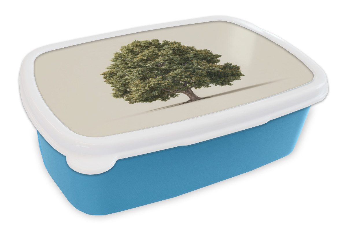 MuchoWow Lunchbox Eichenbaum - Grün - Heller Hintergrund, Kunststoff, (2-tlg), Brotdose, Lunchbox, Brotbox für Kinder und Erwachsene
