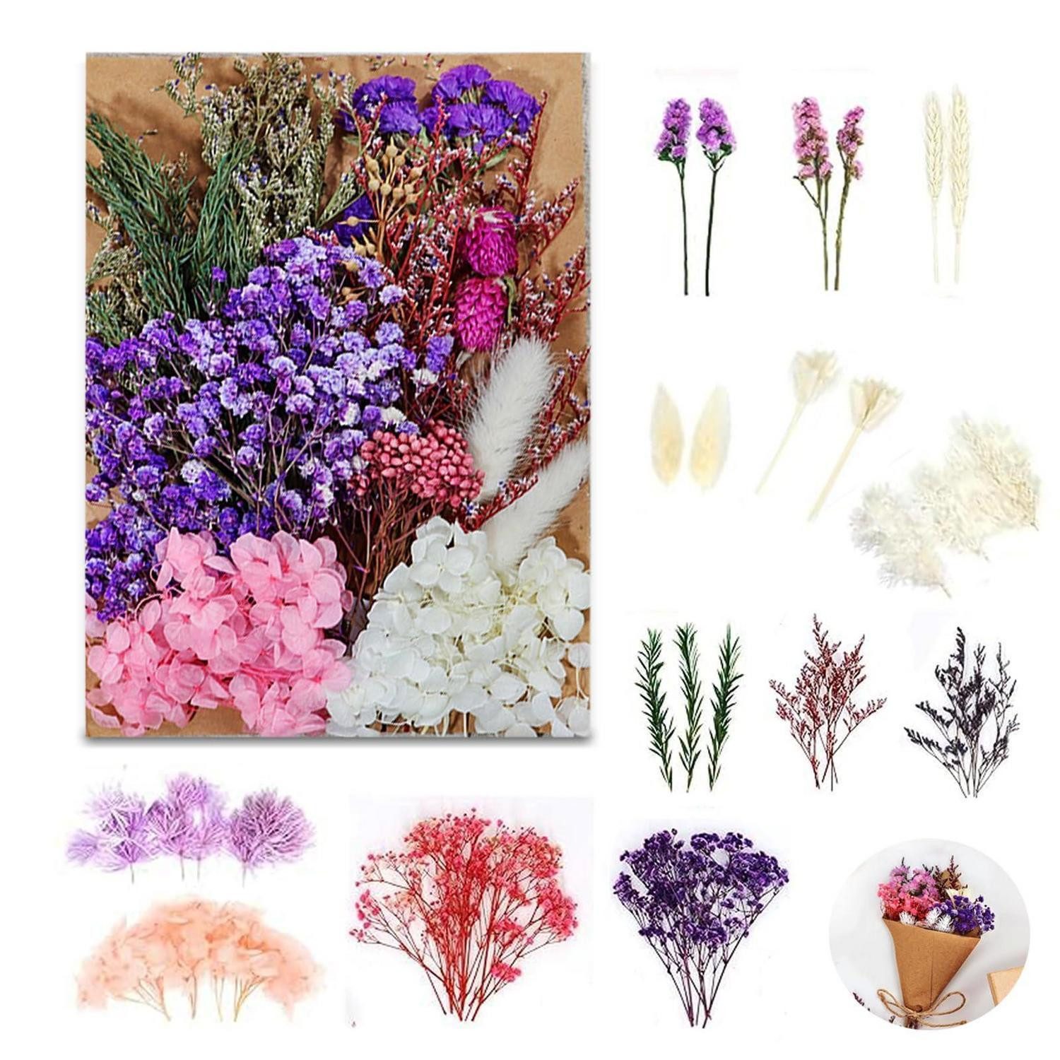 Trockenblume Trockenblumen Set Violett Gemischt DIY Basteln, LuxusKollektion, Höhe 1 cm