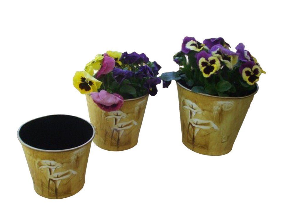 Deko-Impression Übertopf Pflanztopf - Set Pflanztopf Blumentopf Calla 3 Stück 3 Größen (3 St)