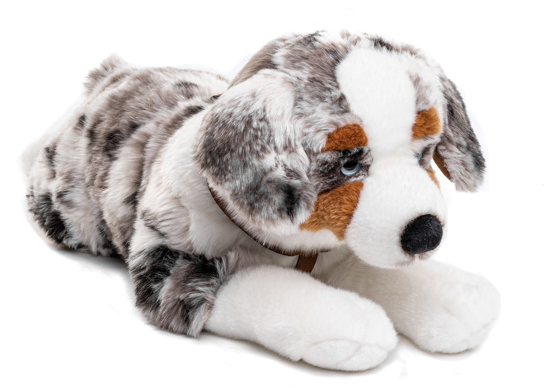 Uni-Toys Kuscheltier Australischer Schäferhund m.Geschirr - 63 cm - Plüsch- Hund, Plüschtier, zu 100 % recyceltes Füllmaterial