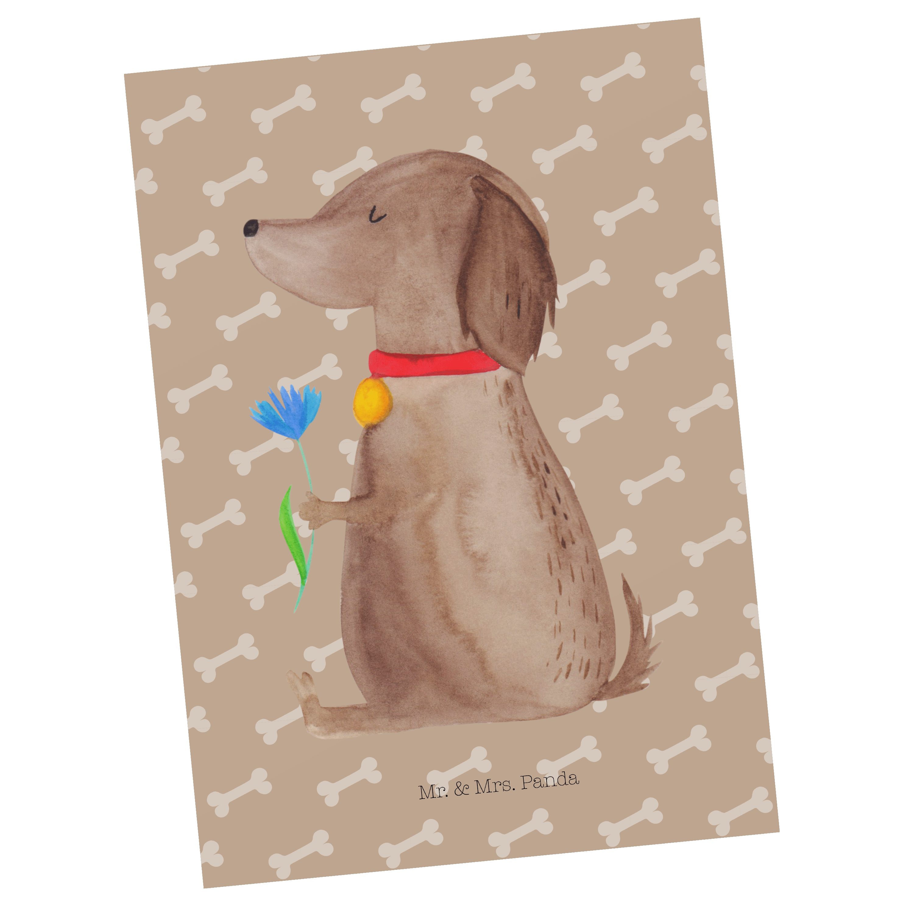 Mr. & Mrs. Panda Postkarte Hund Blume, Postkarte, Hundeglück, Ansichtskarte, Blume, Postkarte, P, Postkarten Ansichtskarten Hundeliebe