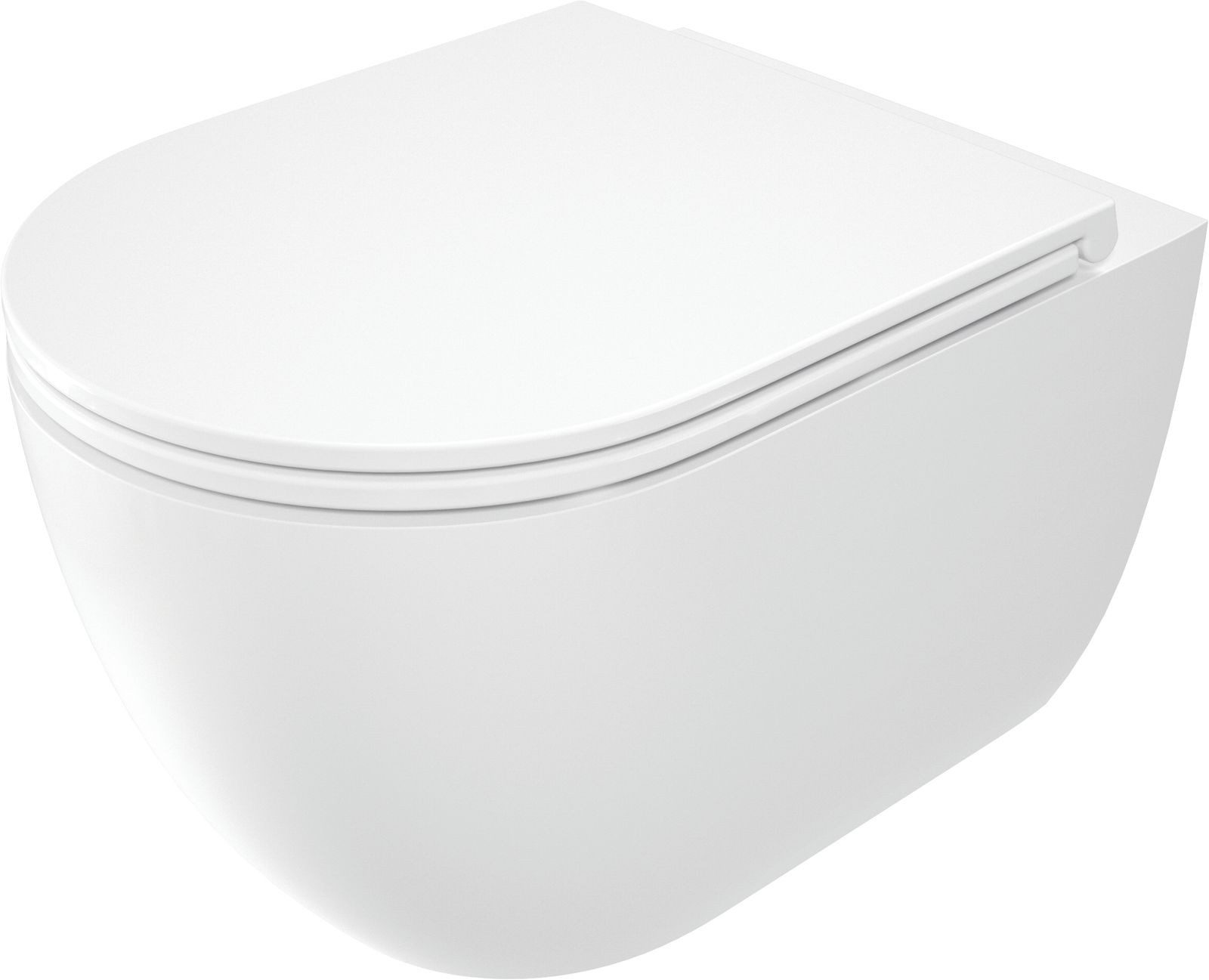 Deante Tiefspül-WC Wand WC Weiß D-Form Tiefspüler spülrandlos mit Softclose Sitz, Komplett-Set