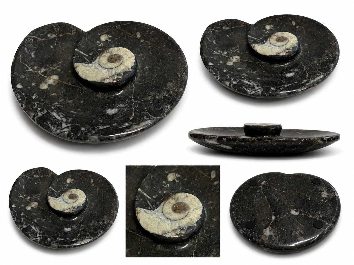 Nesbel - Spüren Sie die Reinheit? Dekoschale (1 St), Orthoceras Edelsteinschale versteinerte Tintenfischarme 15x11,5x2 cm