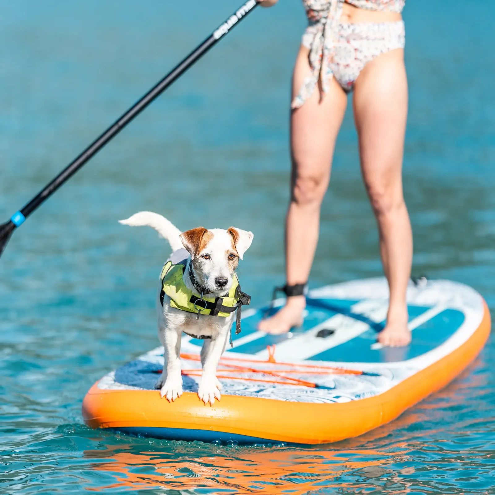Aqua Marina SUP-Board Aqua Marina Pure Air Coast 10'10 SUP Board Aufblasbares Stand Up