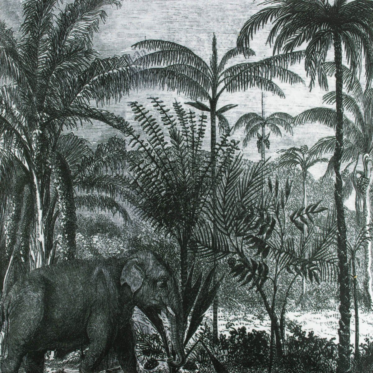 Elefant 45x45cm Dschungel SCHÖNER Palmen LEBEN. Samtoptik Dekokissen Deko grün Wendekissen