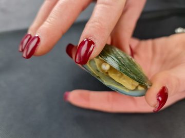 Kremers Schatzkiste Kette mit Anhänger Zauberhafte Wunschperle für deinen Schatz mit Halskette im Geschenkkarton Perle Schmuck Kette