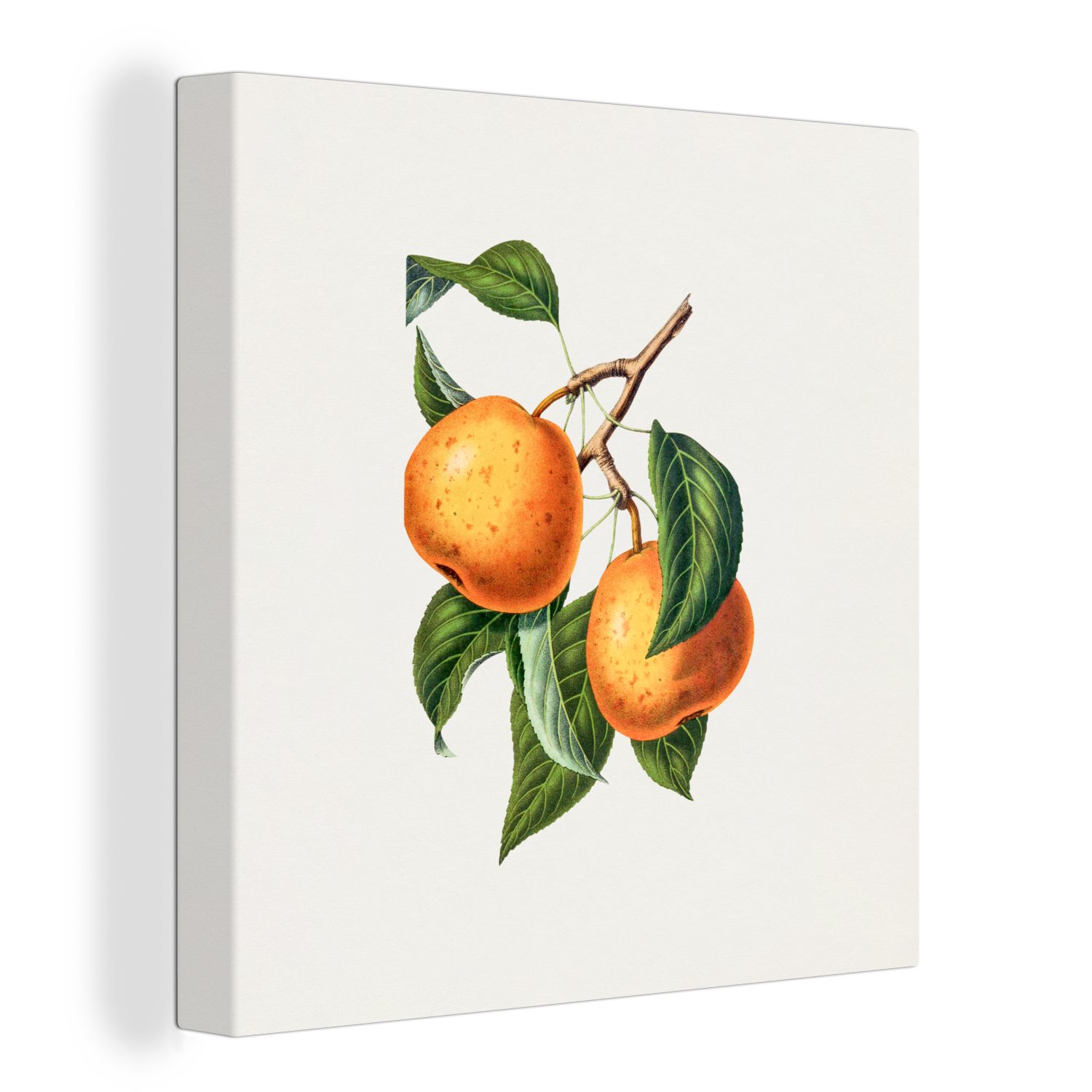 OneMillionCanvasses® Leinwandbild Lebensmittel - Obst - Jahrgang, (1 St), Leinwand Bilder für Wohnzimmer Schlafzimmer