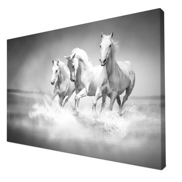 wandmotiv24 Leinwandbild weiße Traumpferde, Tiere (1 St), Wandbild, Wanddeko, Leinwandbilder in versch. Größen