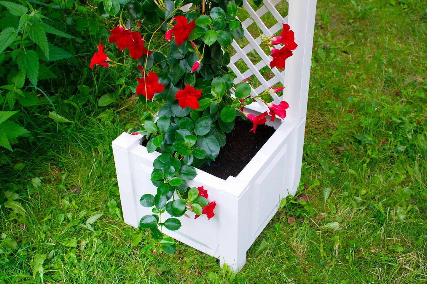 KHW Spalier, 2 tlg. mit Pflanzkasten, BxTxH: 43x43x140 cm