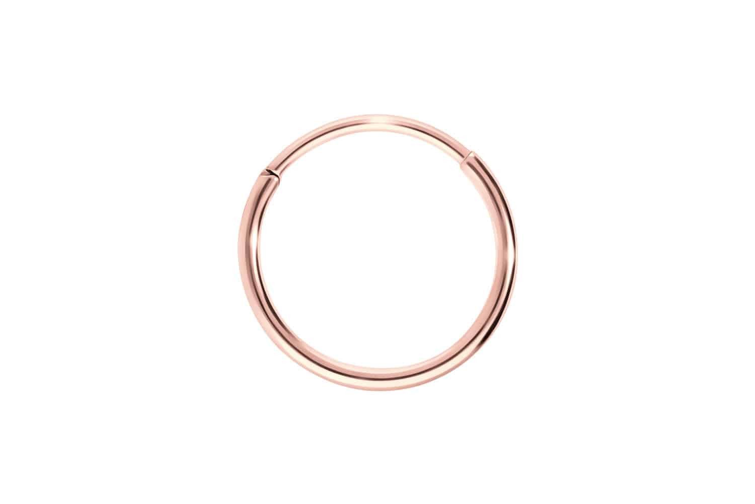 PIERCINGLINE Nasenpiercing Titan Segmentring Clicker Ohrpiercing Septum Nas günstig online kaufen