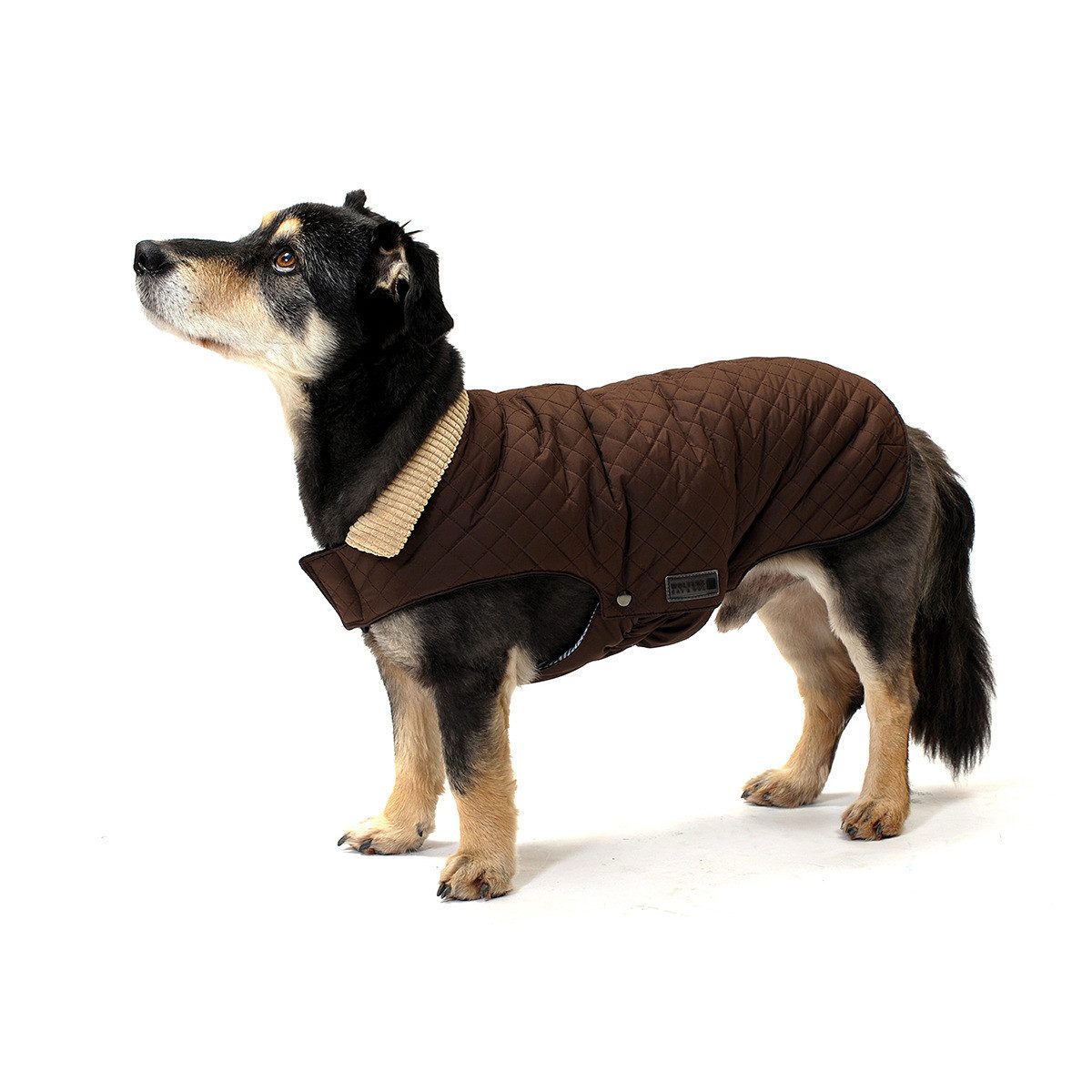 Wolters Hundemantel Steppjacke Windsor mit Kordkragen braun