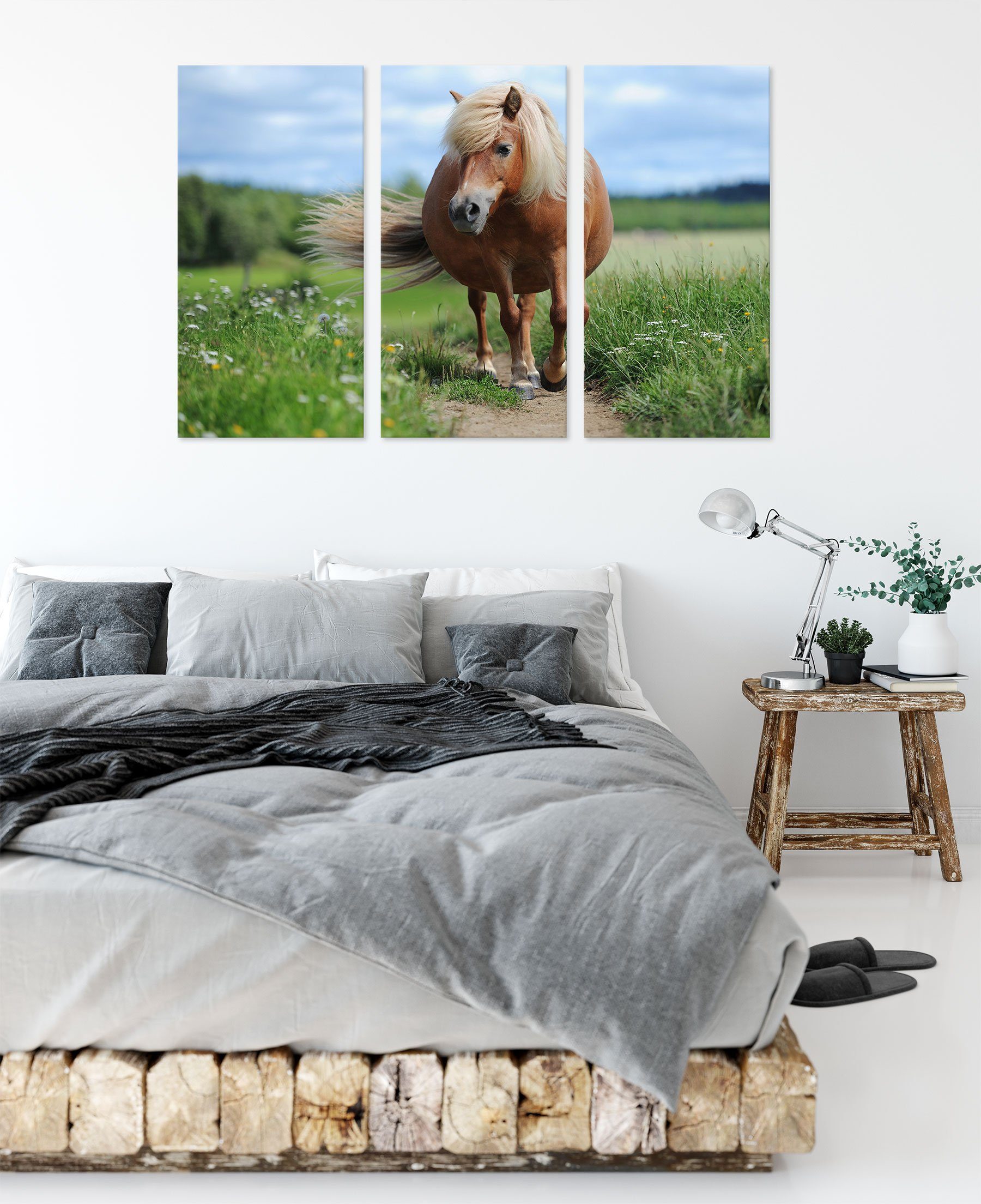 auf Shetlandpony Leinwandbild Zackenaufhänger (1 St), Pixxprint Wiese, Shetlandpony Leinwandbild der der auf (120x80cm) bespannt, inkl. Wiese 3Teiler fertig