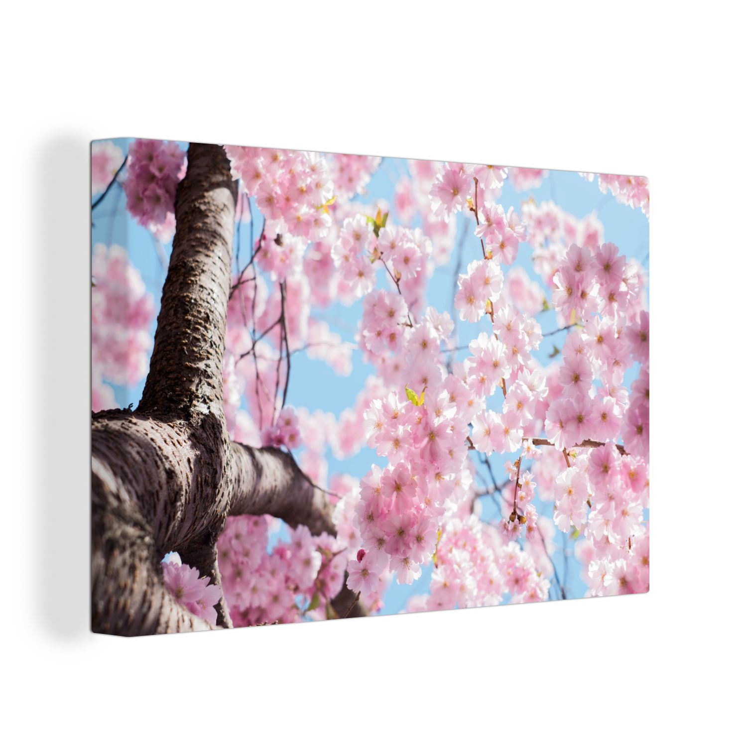 OneMillionCanvasses® Leinwandbild Blumen - Sakura - Baum, (1 St), Wandbild Leinwandbilder, Aufhängefertig, Wanddeko, 30x20 cm