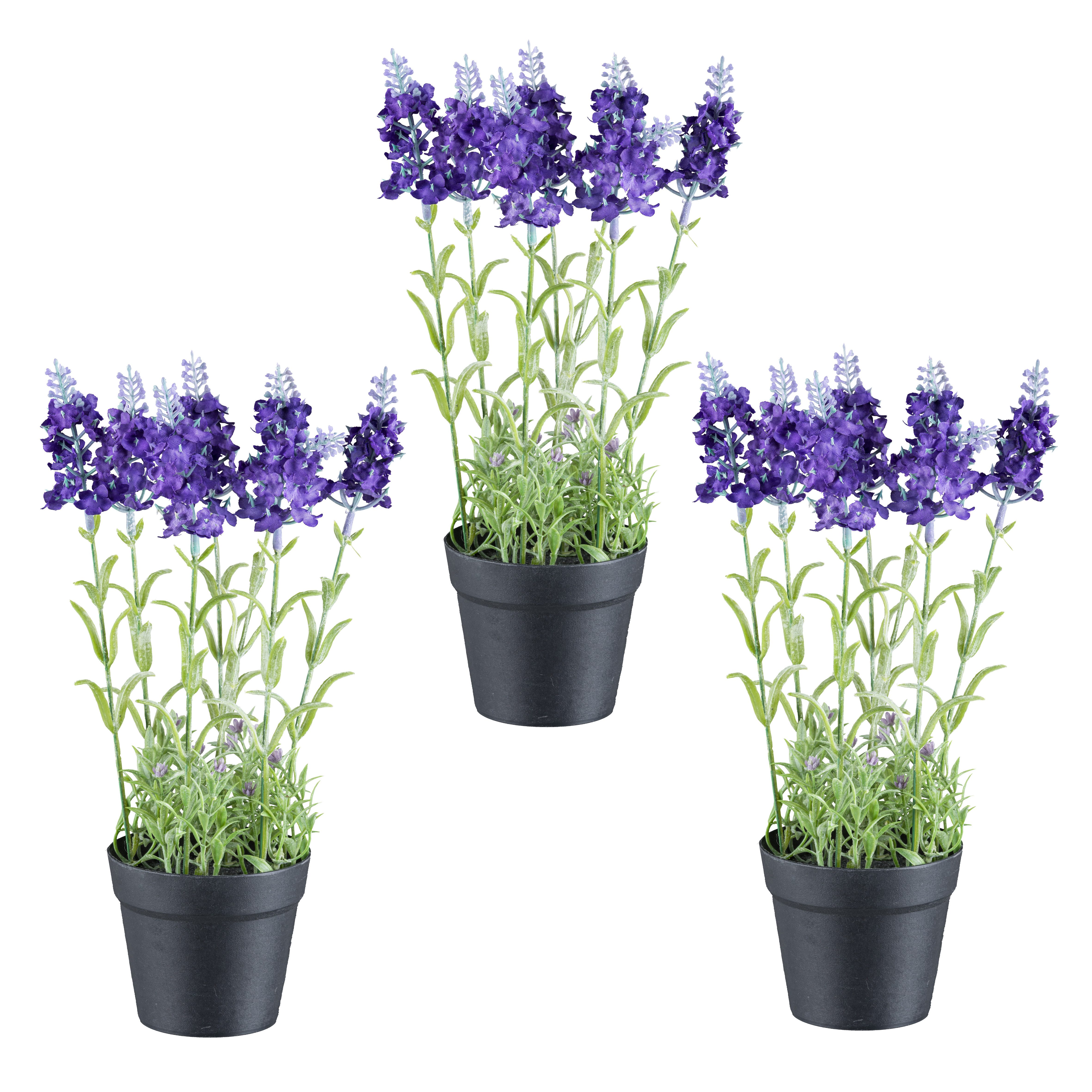 Kunstpflanze Lavendel, Creativ green, Höhe 29 cm, mit täuschend echten Blüt günstig online kaufen