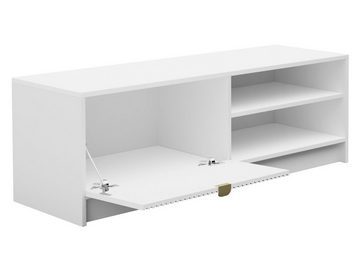 MIRJAN24 TV-Schrank Tireno 1K (mit Klappe) Aluminiumgriff in der Farbe Gold