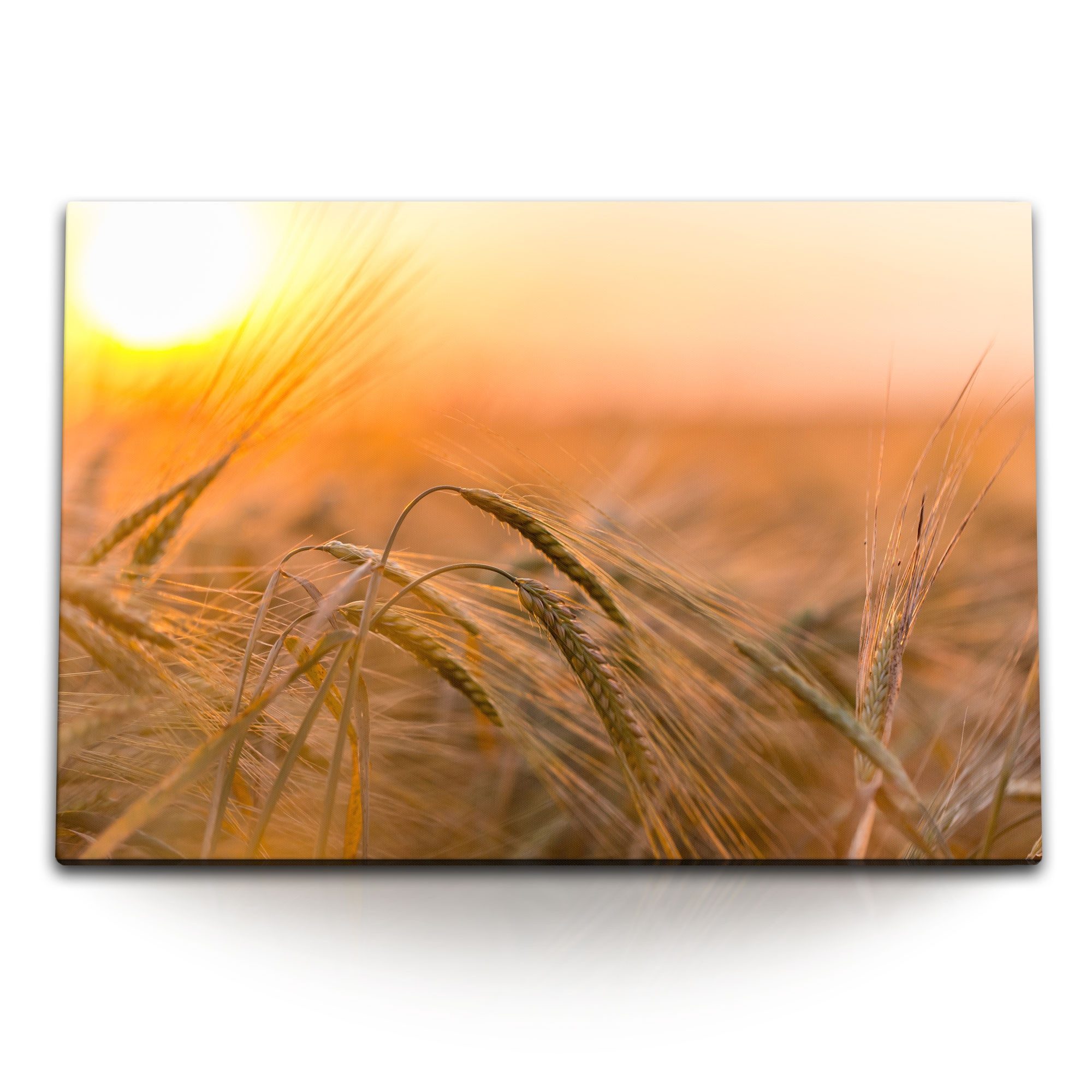 Leinwandbild 120x80cm Wandbild auf Leinwand Sommer Sonnenuntergang Feld Natur Weize