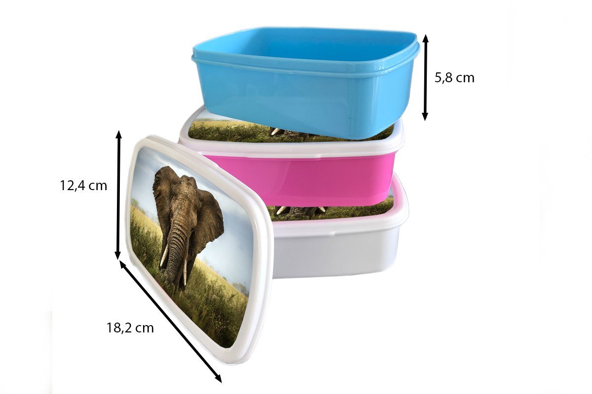 Kunststoff Kinder, Elefant MuchoWow Natur Brotbox Gras - für - Landschaft, Erwachsene, - Lunchbox - Kunststoff, Mädchen, Snackbox, (2-tlg), Tiere Brotdose rosa