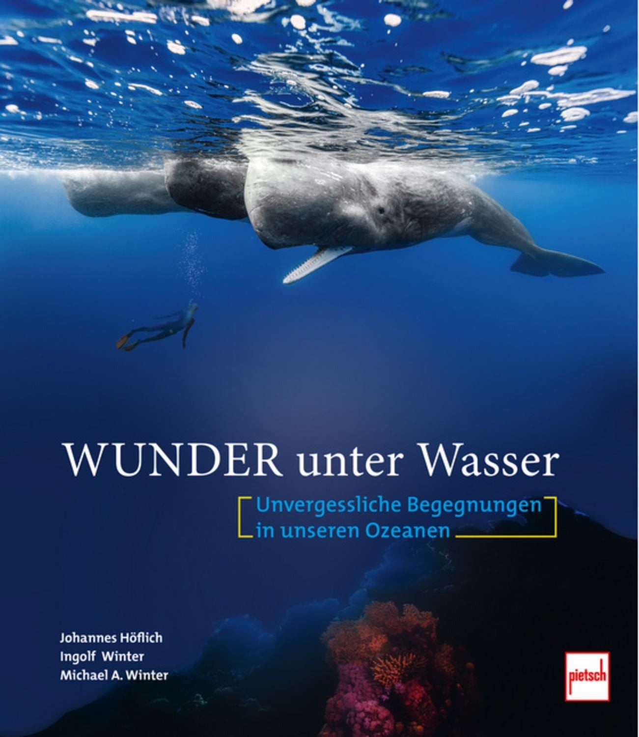 Wunder unter Wasser / Johannes Höflich, Ingolf Winter, Michael A. Winter