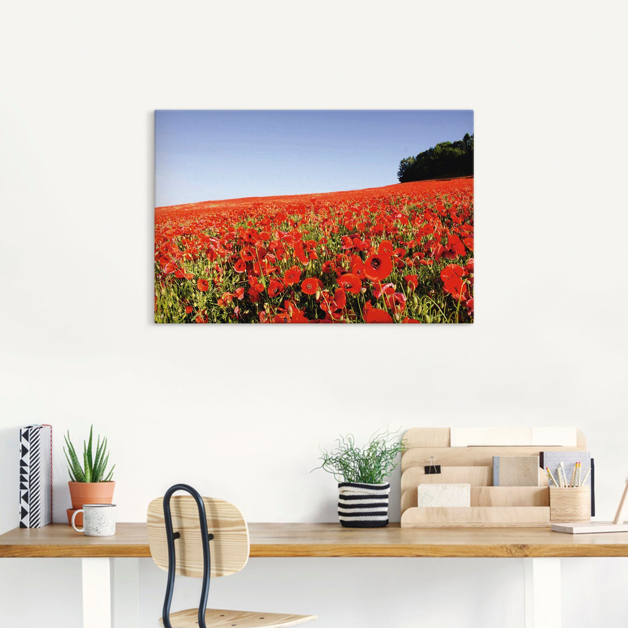 Artland Wandbild »Mohnfeld«, Wiesen & Baumbilder (1 Stück), in vielen Größen & Produktarten - Alubild / Outdoorbild für den Außenbereich, Leinwandbild, Poster, Wandaufkleber / Wandtattoo auch für Badezimmer geeignet-HomeTrends