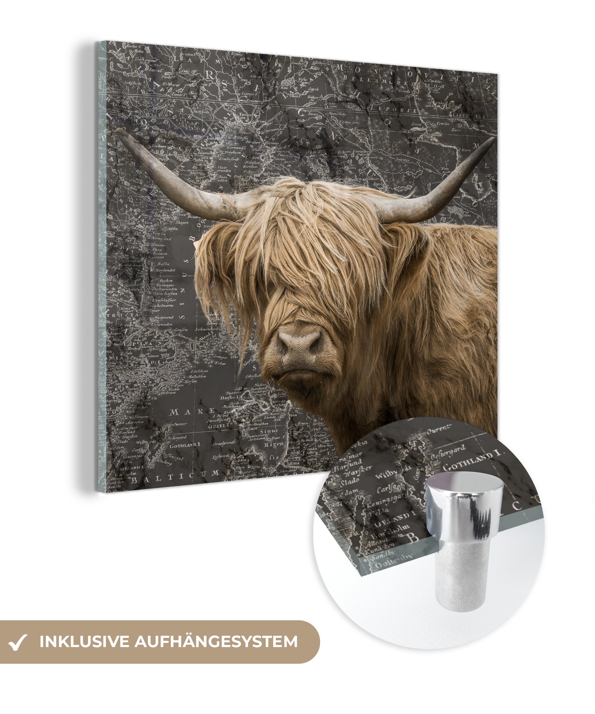 MuchoWow Acrylglasbild Schottischer Highlander - Weltkarte - Tiere, (1 St), Glasbilder - Bilder auf Glas Wandbild - Foto auf Glas - Wanddekoration