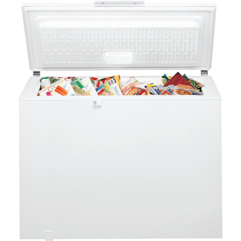 BAUKNECHT Gefriertruhe GTE Eco 222 C EX